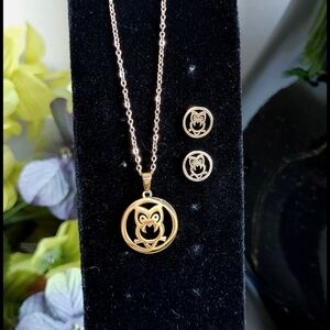 14k Gold Stainless Steel Owl Necklace Earrings Set